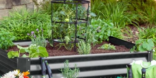 Metal Raised Garden Bed for Vegetables, Flowers, & Herbs Only $34.99 Shipped (Regularly $80)