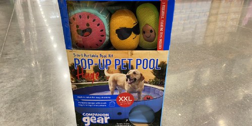 Pop-Up Pet Pool w/ 3 Floating Toys Only $36.99 at Costco