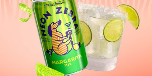 Neon Zebra Non-Alcoholic Cocktail Mixer 24-Pack Just $22.38 Shipped on Amazon (Only 95¢ Per Can)