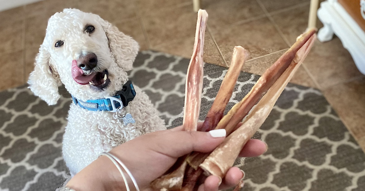 pawstruck bully sticks for dogs