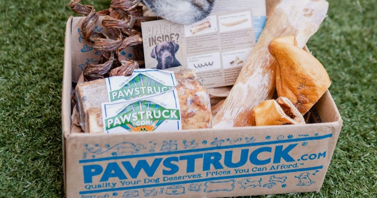 Pawstruck box filled with pet goodies
