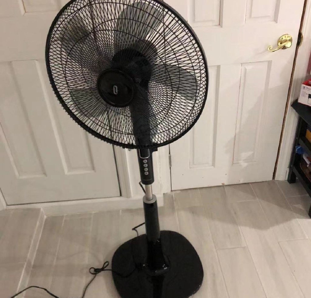 pedestal fan