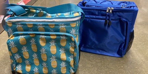 These Cooler Bags Are Perfect for Summer Adventures & Just $9.99 at ALDI