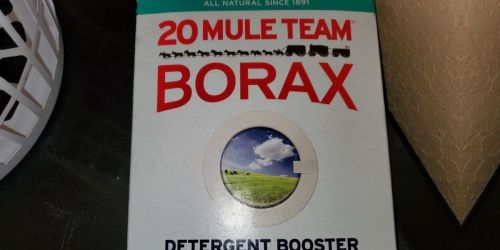 Borax 65oz Box 4-Pack Only $12 Shipped on Amazon (Regularly $18)