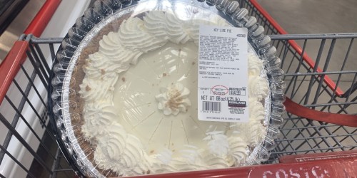 Key Lime Pie & Mini Chocolate Cakes w/ Fudge Icing Are Back at Costco
