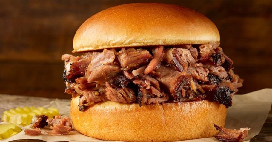 FREE Dickey’s BBQ Pulled Pork or Chicken Sandwich w/ Big Yellow Cup Purchase