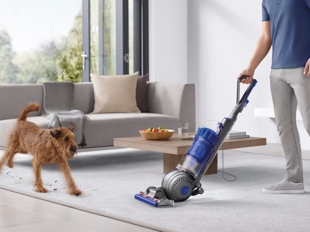 Dyson Ball Animal 2 Total Clean Upright Vacuum Cleaner
