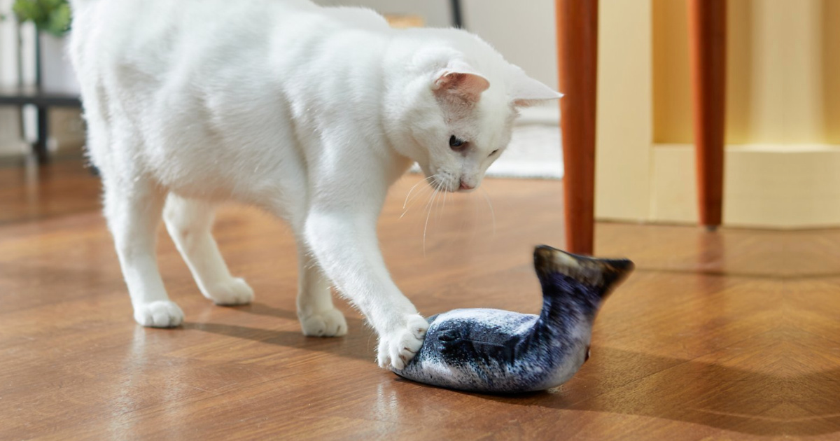 flopping fish cat toy chewy