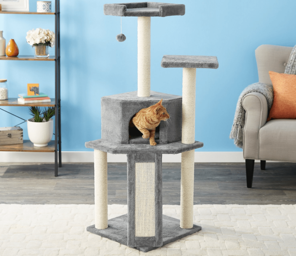 cat on a cat tower