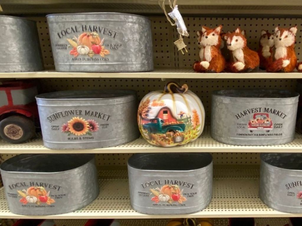 Hobby Lobby Fall & Thanksgiving Containers & Storage