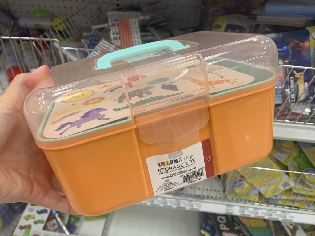 Learn & Play Storage Box