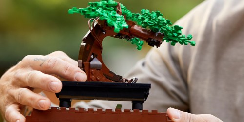 LEGO Bonsai Tree Building Kit Just $40 Shipped on Amazon or Walmart.com (Back in Stock)