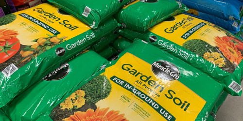 Miracle Gro Garden Soil 40-Quart Bag Possibly only $2.81 at Sam’s Club