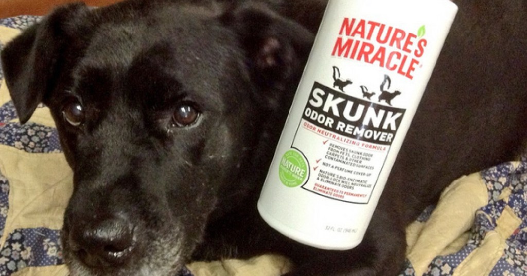 Nature's Miracle® Skunk Odor Remover with dog
