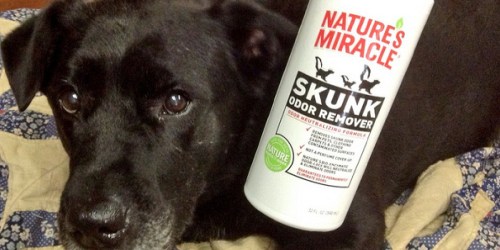 Nature’s Miracle Skunk Odor Remover 32oz Bottle Only $4.59 on PetSmart.com (Regularly $14)