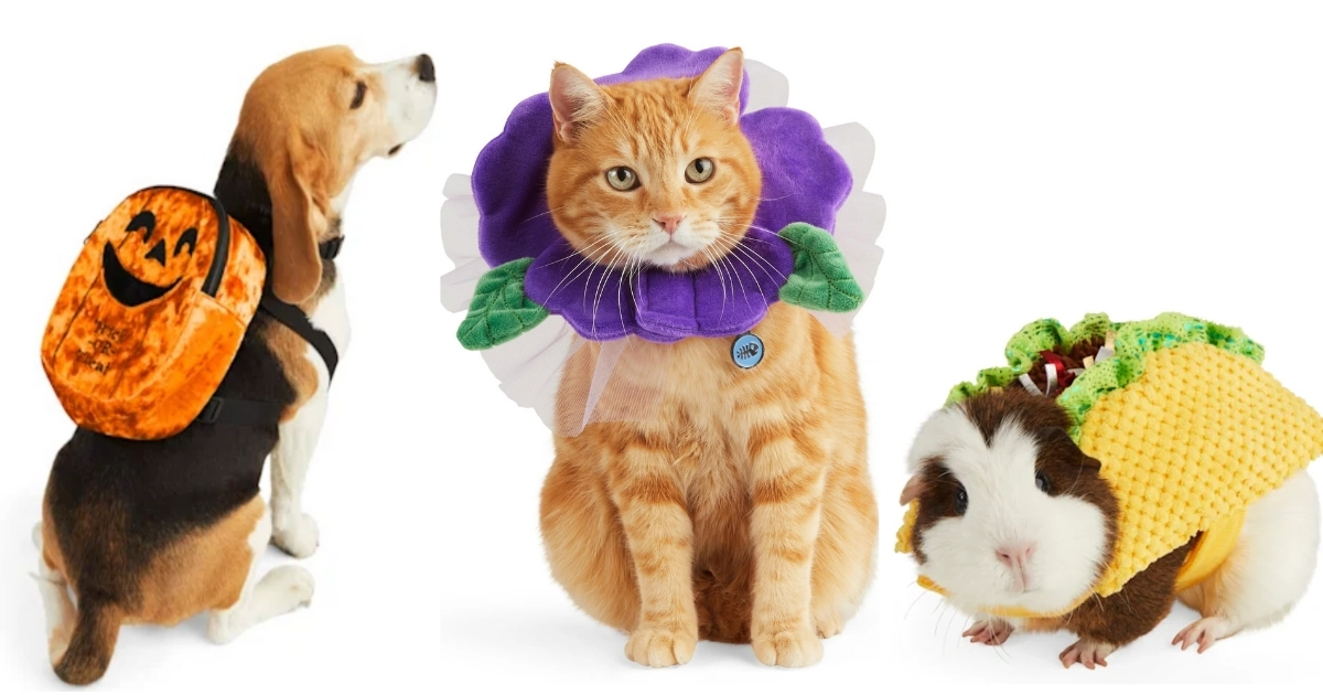 Pet Costumes at Petco and PetSmart