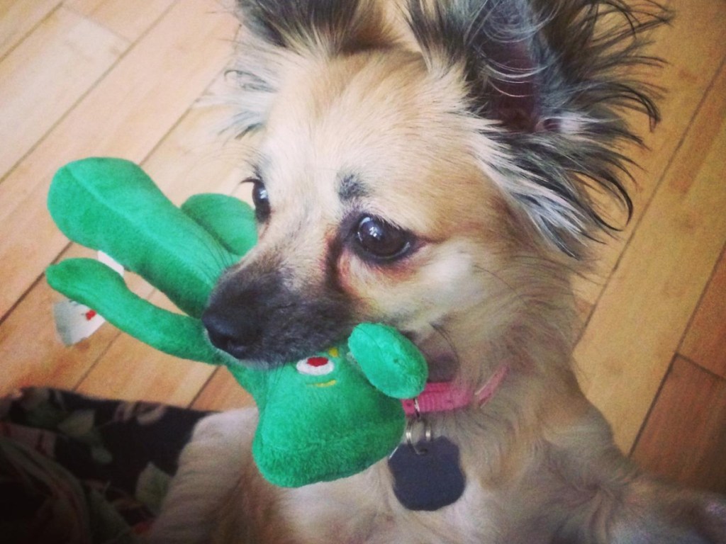 gumby plush dog toy