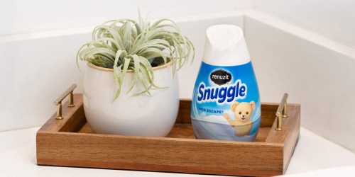 Snuggle Renuzit Gel Air Freshener 12-Pack Just $7.52 on Amazon (Only 63¢ Each)