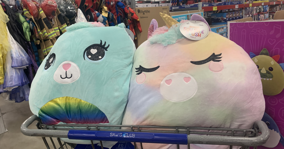 sam's squishmallows