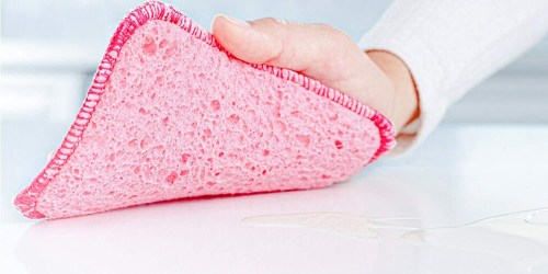 Scotch-Brite Scrub & Wipe Cloths 2-Pack Only $1.75 Shipped on Amazon + More Cleaning Tool Deals