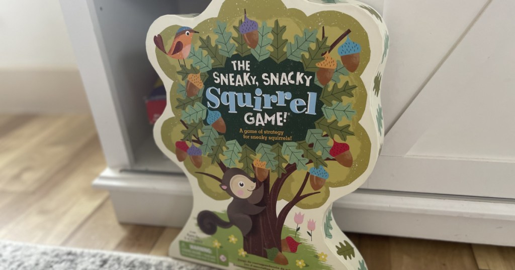 toddler squirrel game in box in home