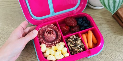 5 of the Best Lunch Boxes for Kids