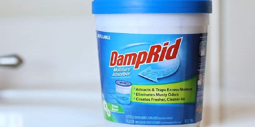 DampRid Moisture Absorbers 10.5oz Container Only $1.99 on AceHardware.com