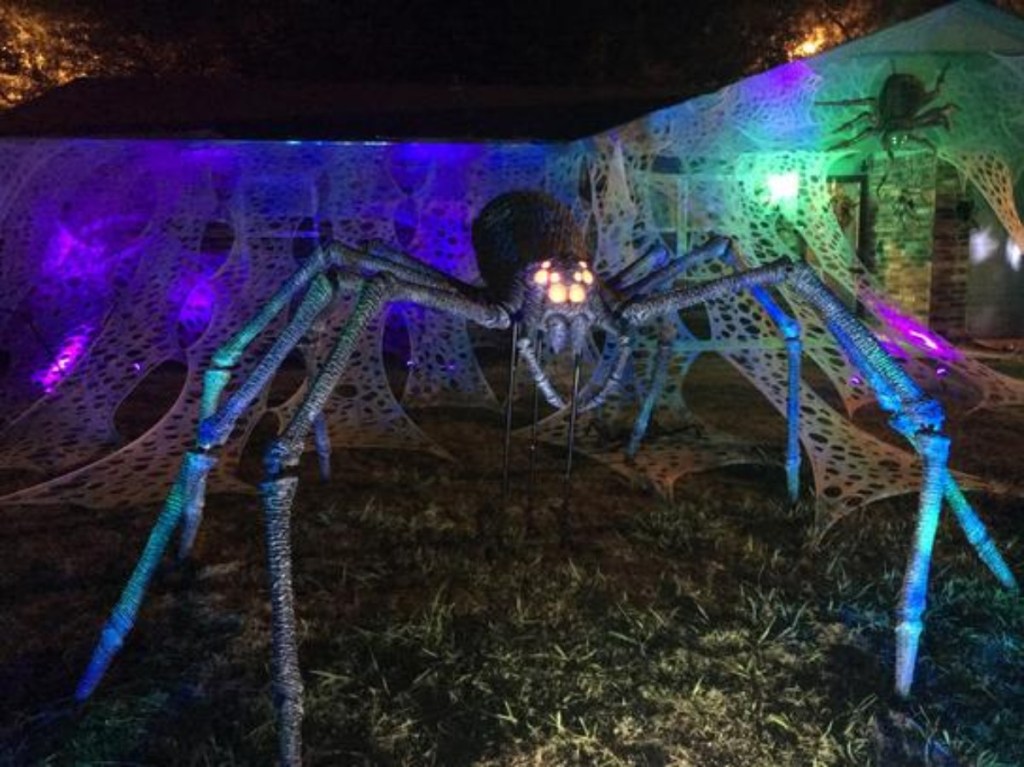 halloween spider with glowing eyes