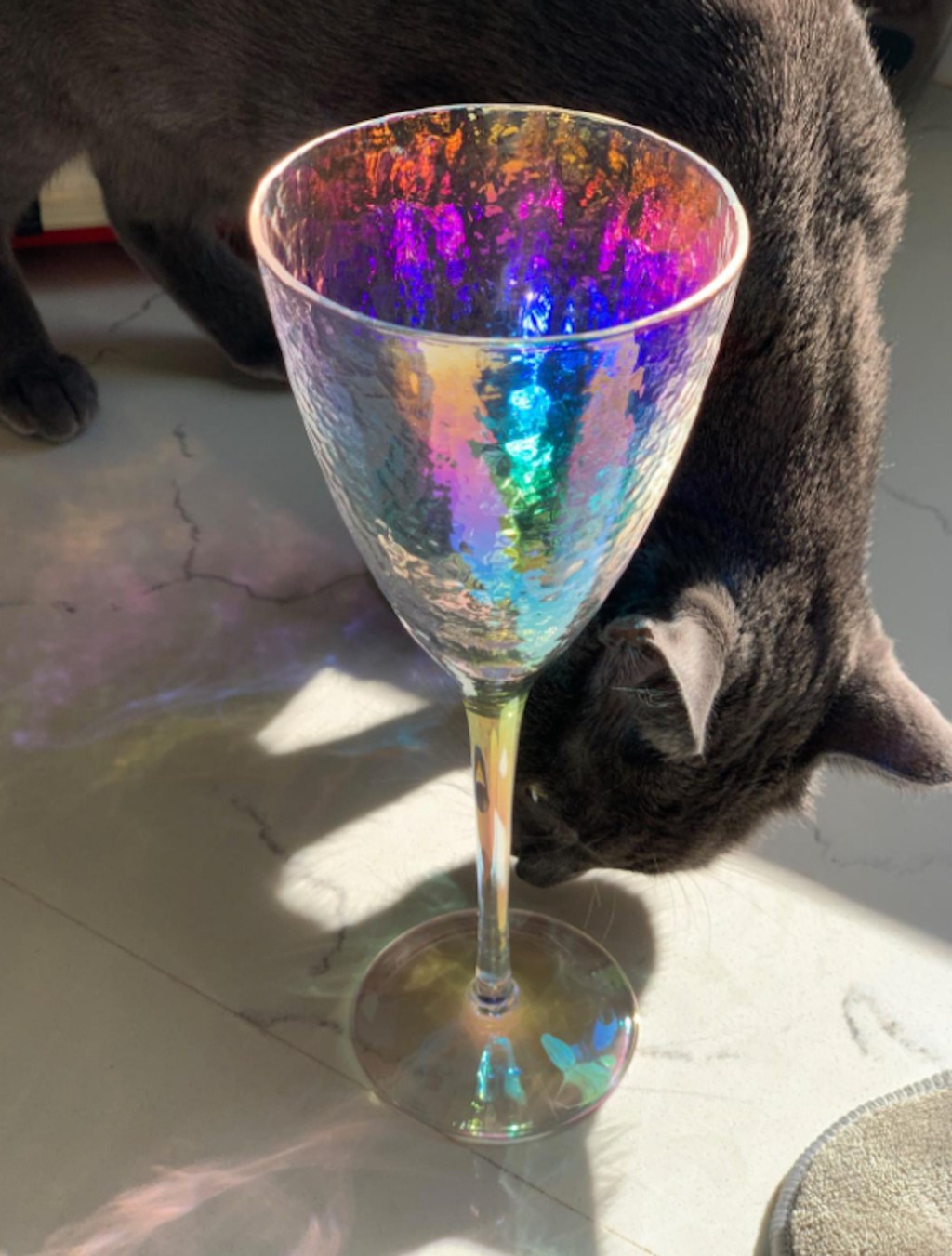 cat sniffing iridescent wine glass on countertop