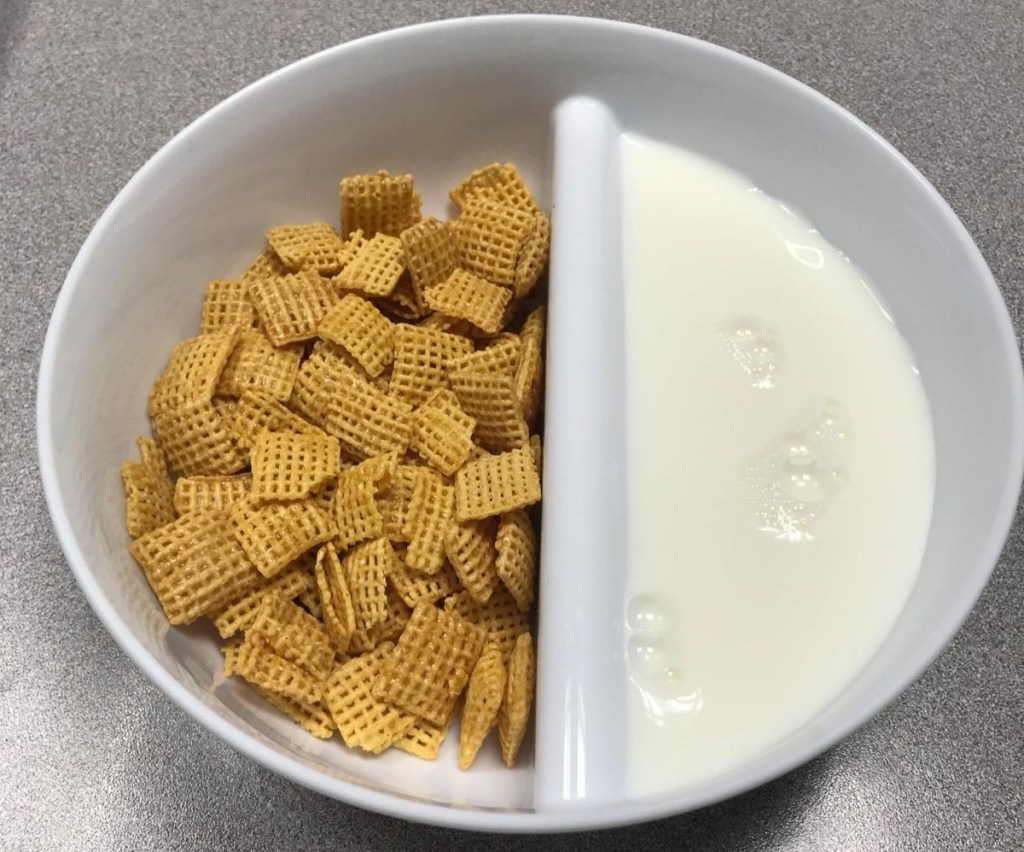 divided cereal bowl