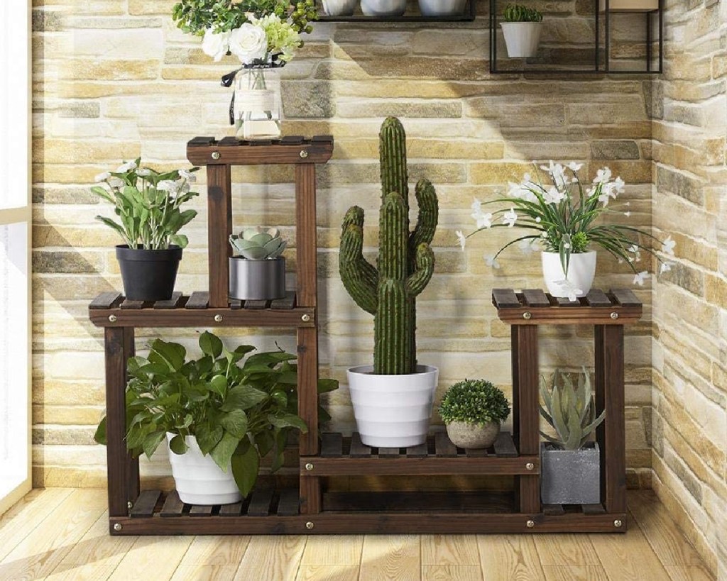 plant stand 6-8 plants 