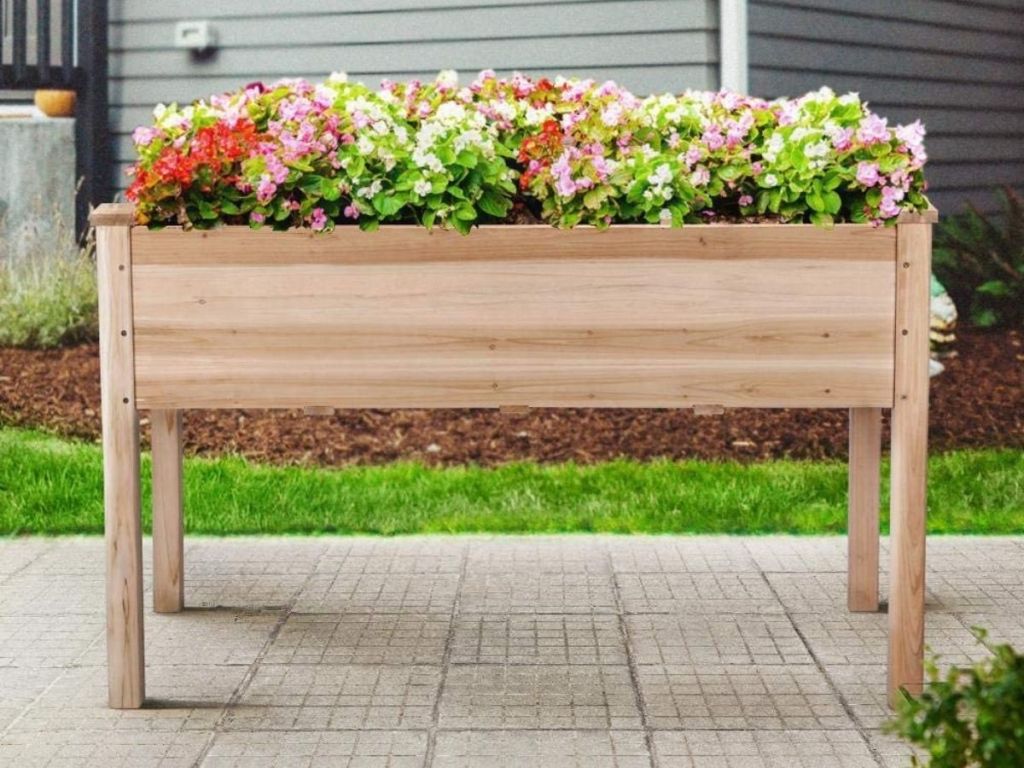 raised garden box filled with flowers