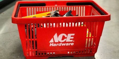 RARE 50% Off Ace Hardware Coupon + FREE eGift Card w/ Purchase