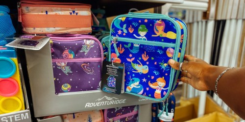 Adorable Lunch Bags Just $9.99 at ALDI | Backpacks Just $14.99