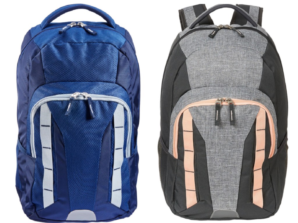 Dick's Sporting Goods Backpacks Just $12.49, Lunch Boxes Only $7.49 ...