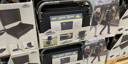 Padded Stadium Seat Just $27.99 at Costco | Great for Watching Your Kiddos Play Sports