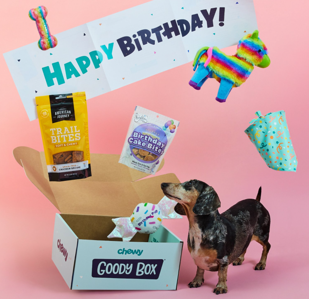 dog standing next to a box with birthday treats and gifts