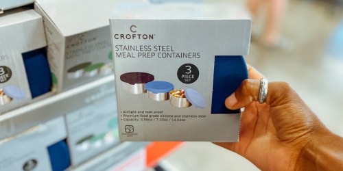 Stainless Steel Meal Prep Set Just $7.99 at ALDI | Great for School or Work Lunches