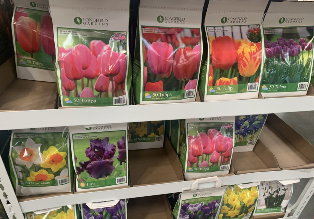 Fall Bulbs Premium Collection in packaging on display in-store