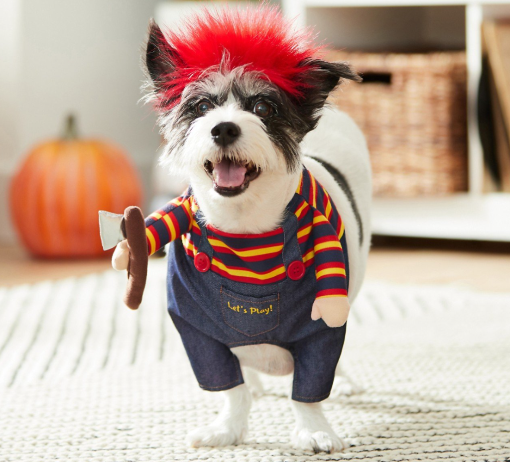 dog wearing a Chucky costume