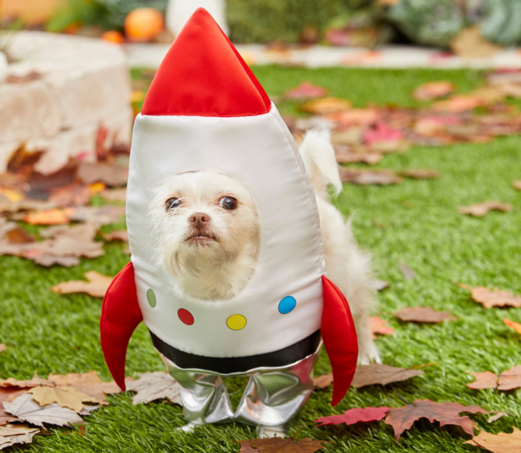 dog in a Spaceship Costume
