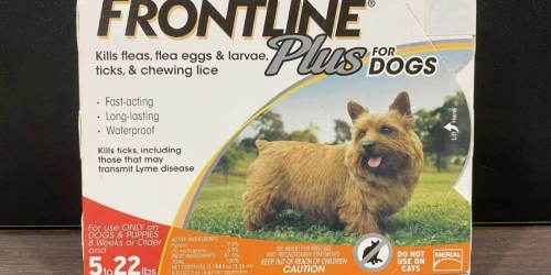 FREE $15 Chewy Gift Card with Frontline Purchase