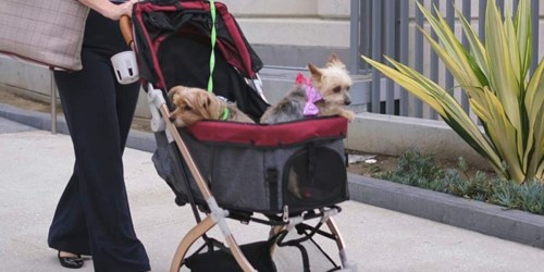 Lightweight Pet Stroller Just $139.99 Shipped on Costco.com | Folds Easily for Storage