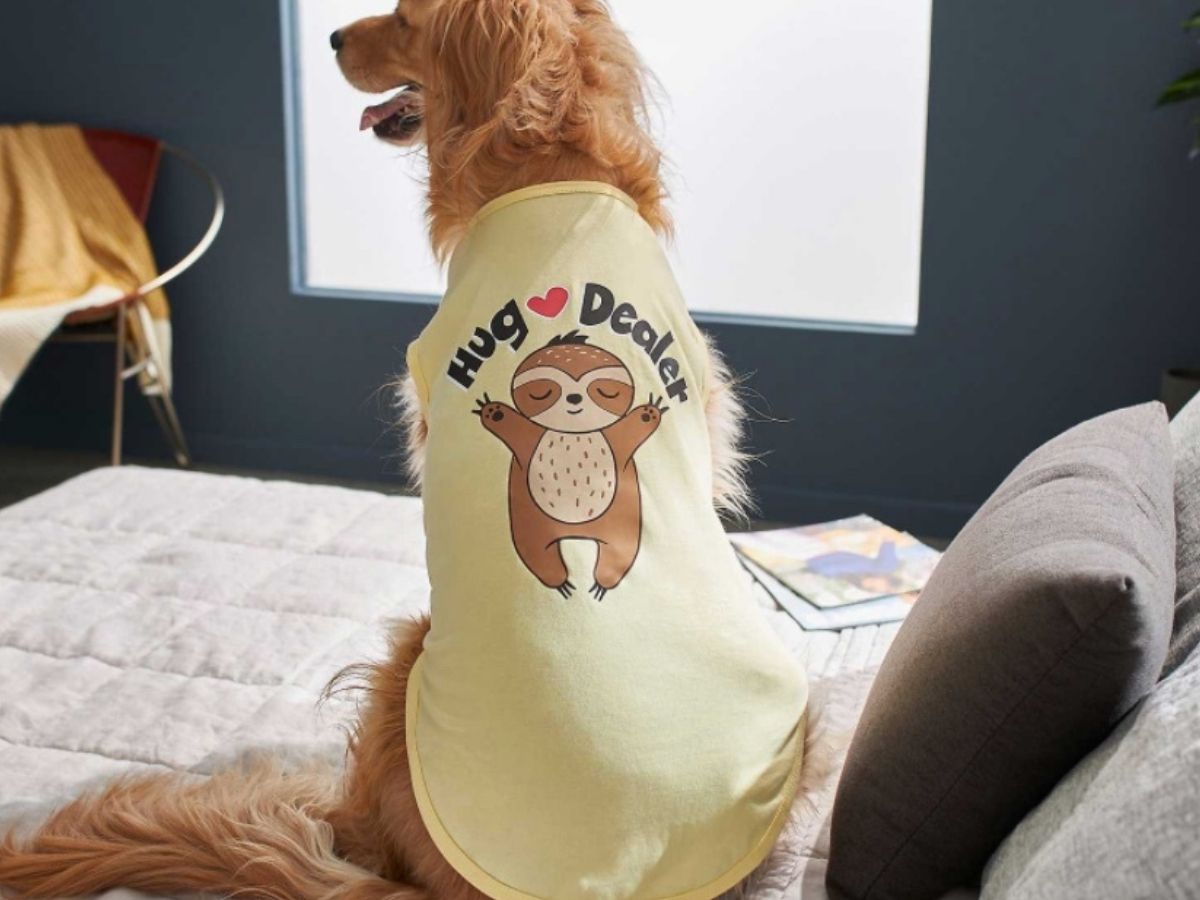 dog wearing a shirt