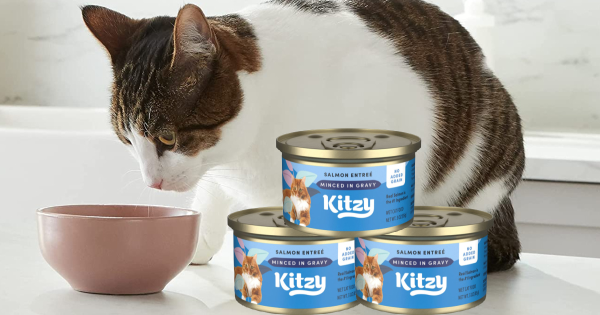 Kitzy Wet Cat Food 24Packs Only 10.98 Shipped on Amazon Just 46