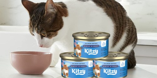Kitzy Wet Cat Food 24-Packs Only $10.98 Shipped on Amazon | Just 46¢ Per Can
