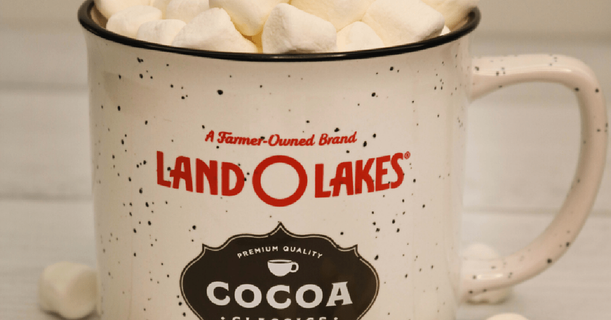 Land O Lakes Cocoa