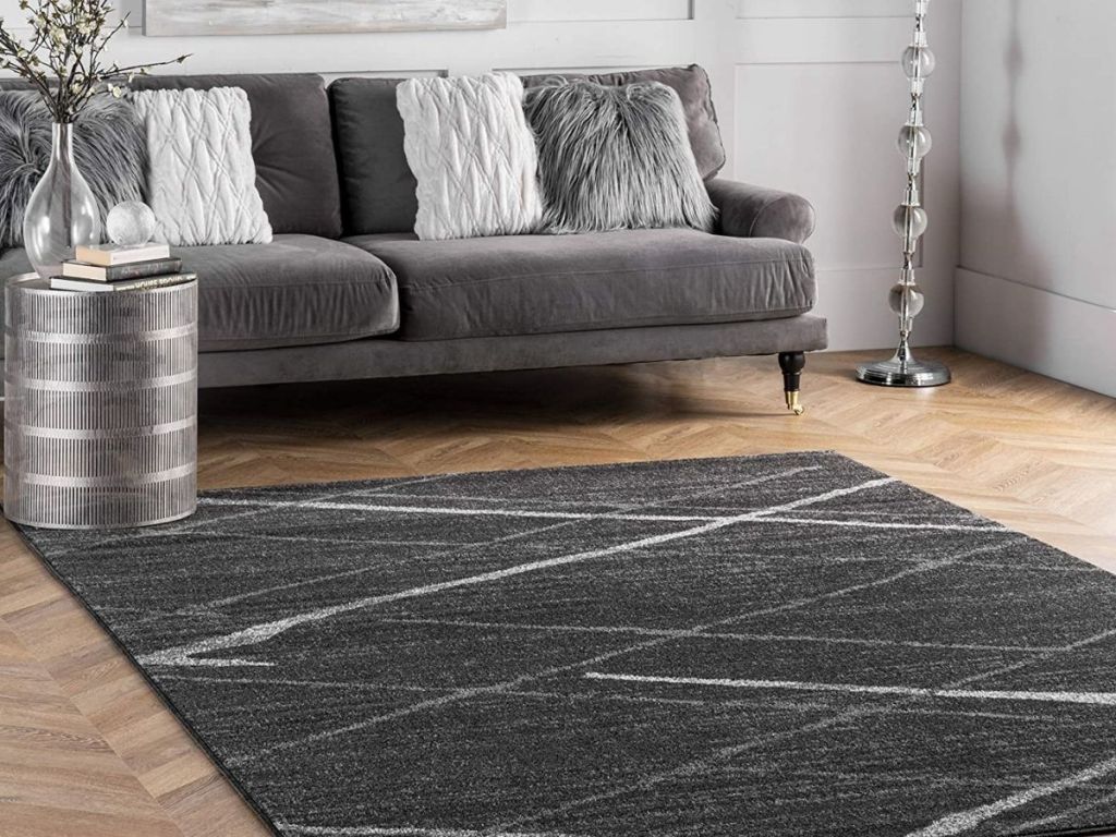 modern gray rug with couch and plant