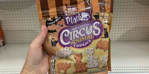 Mother’s Halloween Circus Animal Cookies are Back at Target | Cats & Bats are a Purrrfect Spooky Combo