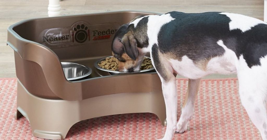 dog eating from a food bowl